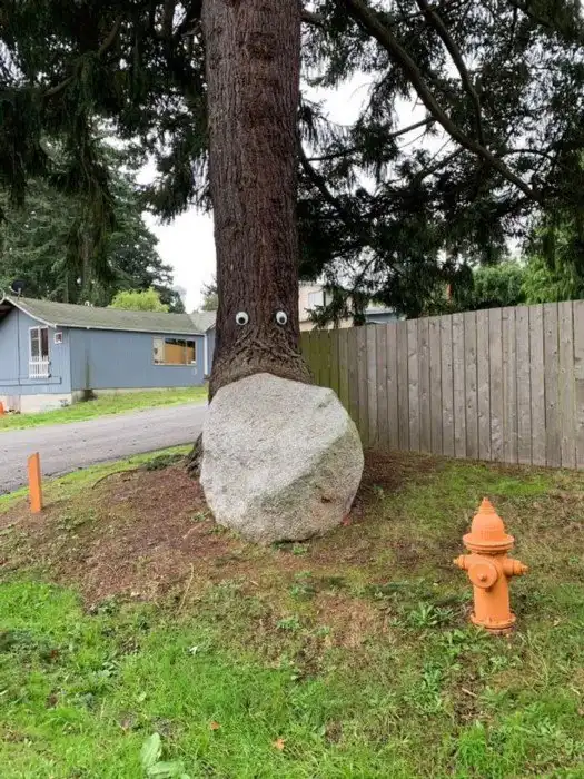 18 доказательств того, что чудеса прячутся прямо у нас под носом, надо только уметь смотреть