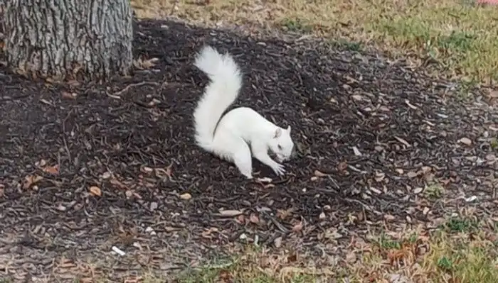 17 человек сфотографировали то, чем никак нельзя не похвастаться перед всем интернетом