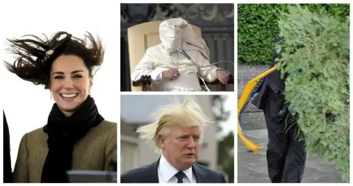 Унесенные ветром: знаменитые головы, которые не дружат с ветром