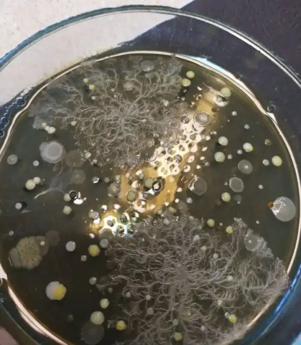 19 доказательств того, что у природы всегда припасена пара тузов в рукаве