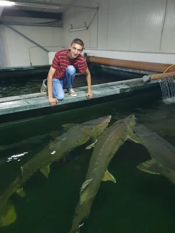 Подборка фотографий из серии "все познается в сравнении"