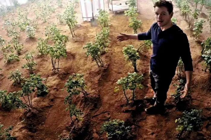 Сможем ли мы выращивать еду в марсианской земле?