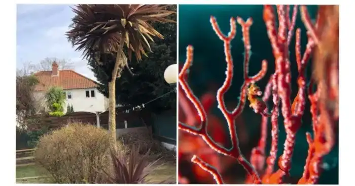 15 хитрых зверюг, которые умеют прятаться лучше любого шпиона