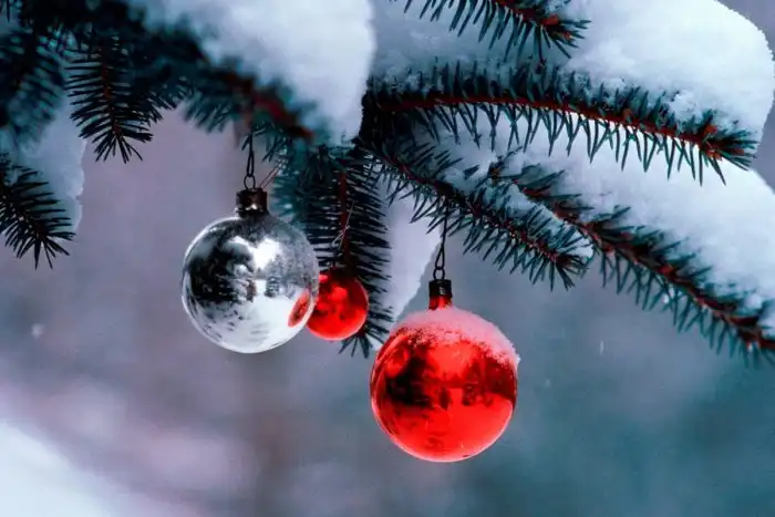 Почему новый год празднуют именно посреди зимы?