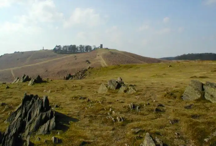 Как школьник сделал находку, от которой учёные всего мира схватились за голову