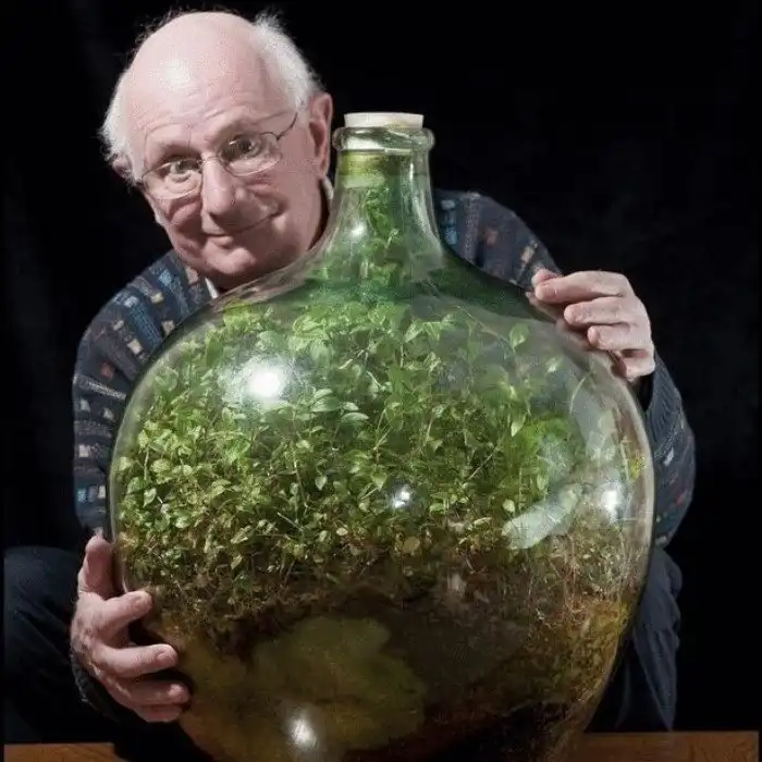 Современник мамонтов. Как российские ученые вырастили древний цветок из семян, которым 32 тысячи лет