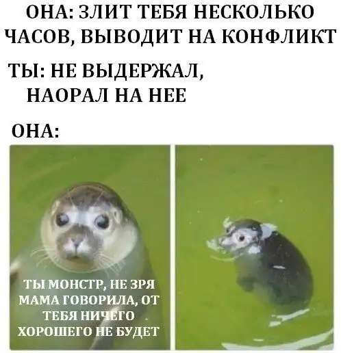 Наглядные доказательства того, почему мужчины никогда не смогут на 100% понять женщин