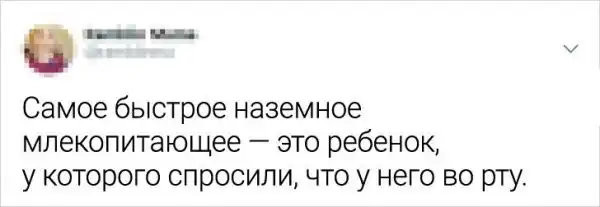 Подборка забавных твитов от невозмутимых мам