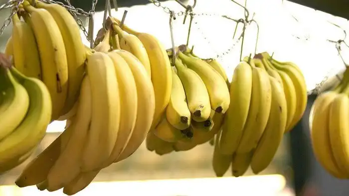 Бананы уже не будут прежними: Что не так с этой ягодой?