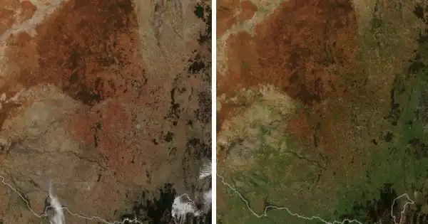 Фотографии со спутников от НАСА: какие изменения происходят на поверхности Земли