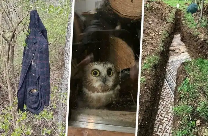 20 неожиданных находок от людей, которые и не думали, что им улыбнётся такая удача