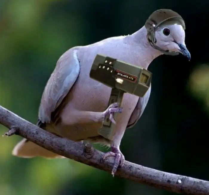 5 случаев из истории, когда животных использовали как шпионов