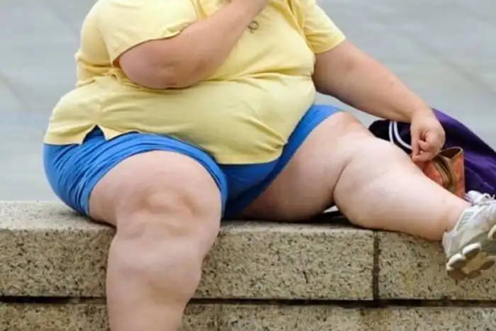 Что будет, если поправиться на 2000 кг?