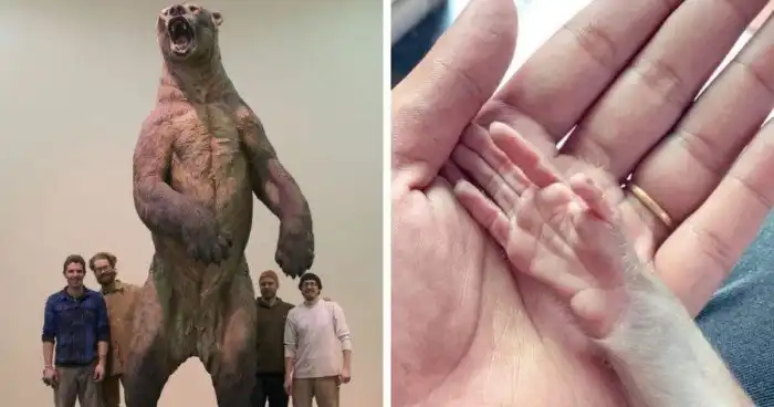 Фотографии, которые дают наглядное представление о размерах интересных вещей