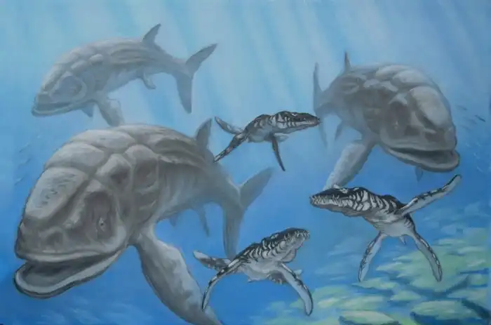 Лидсихтис: Вот она, рыба моей мечты! Доисторическая «селёдка», выраставшая в 16 метров длины!