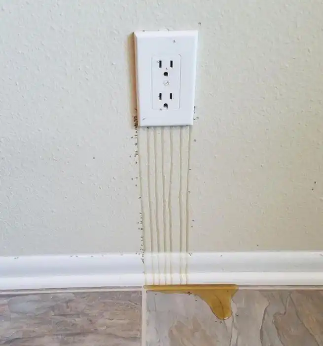 16 настолько неожиданных фото, что так и хочется воскликнуть: «Да ладно?»