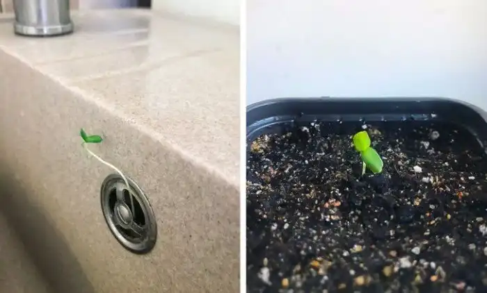 17 человек, чьи дома и квартиры оказались хранилищем уникальных находок