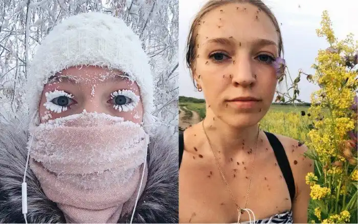 Арктические комары: Злейшие среди злейших. Орды северных кровососов движутся на юг из-за повышения температуры