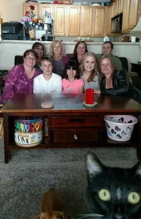 15 бомбических фотографий, которые были задуманы просто хорошими, а получились неповторимыми