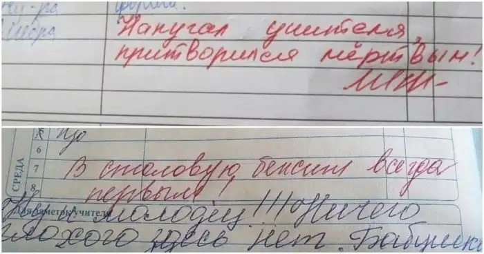 Замечания в школьных дневниках, которые ошарашили родителей
