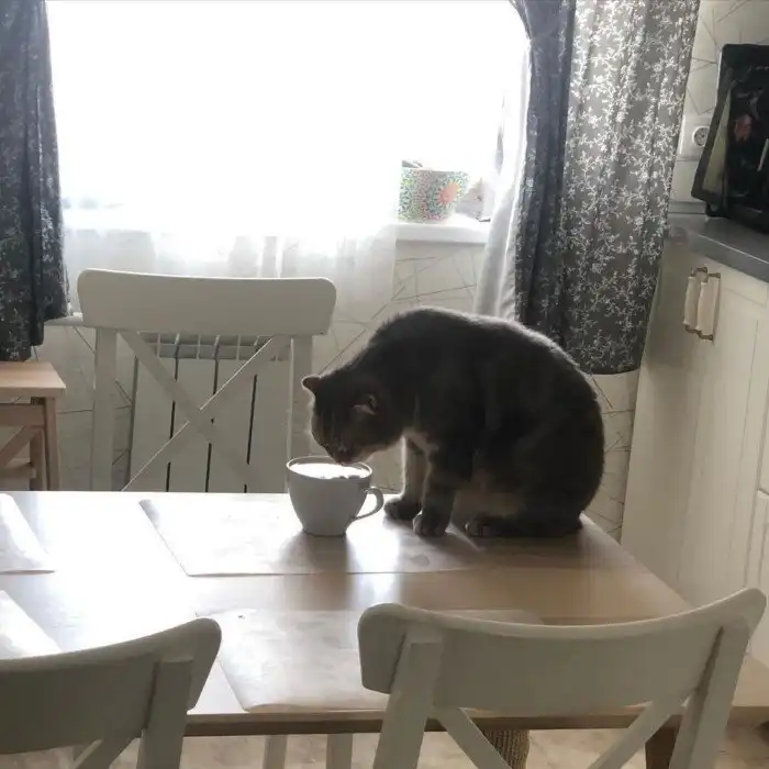 Чем мы занимаемся, когда нас никто не видит