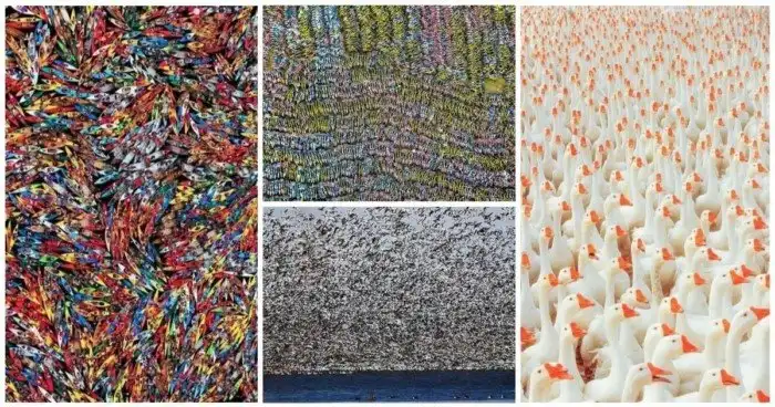 20 фото, которые откроют свою суть только после внимательного осмотра