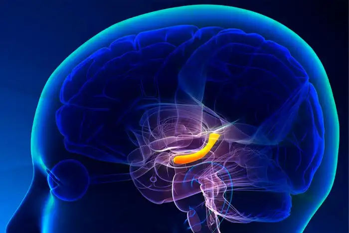 Для чего нужна медитация?