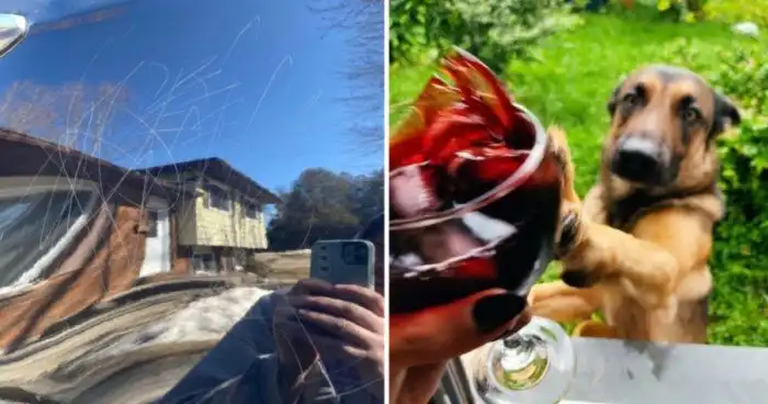 13 фиаско, которые являются яркой иллюстрацией плохого дня