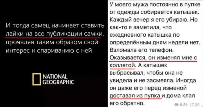 Со стороны выглядит смешно, или наглядная правда об отношениях между мужчинами и женщинами