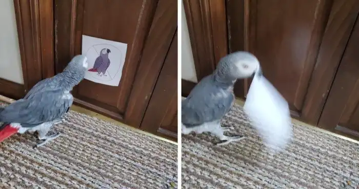 20 бунтарей, которые идут против системы