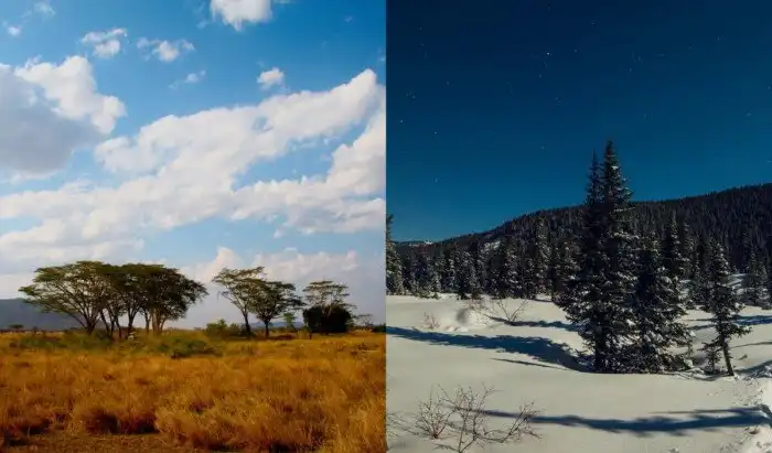 Что заставило древнего человека мигрировать из тёплой Африки в холодные земли Европы?