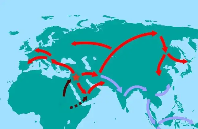 Что заставило древнего человека мигрировать из тёплой Африки в холодные земли Европы?