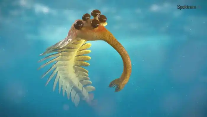 Опабиния: Отголоски кембрийского взрыва. Древнее животное шизофренической наружности