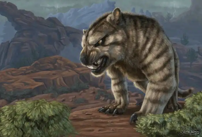 Сумчатый лев: Бывший абсолютный Альфа хищник Австралии с укусом в 2 раза сильнее львиного