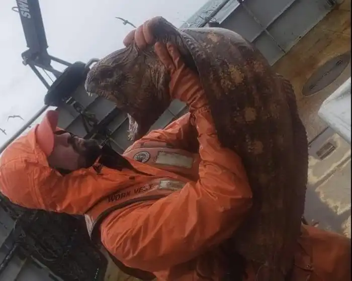 Угревидная зубатка: Дементор от мира рыб. Ужасный на вид, но добродушный северный «монстр»