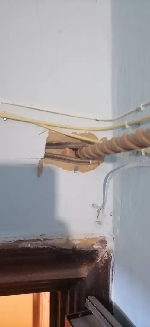 Фартануло, повезло: удачные моменты, попавшие в объектив фотокамеры