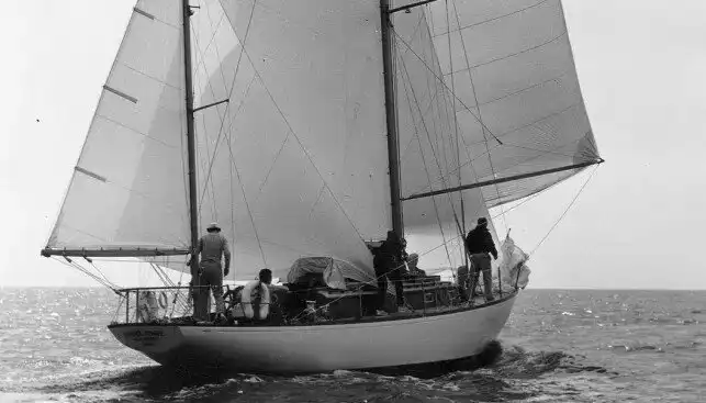 История Терри Джо Дюперро — 11-летней девочки, выжившей в открытом океане