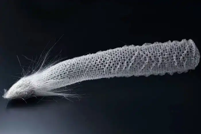 Эти существа не стареют и не умирают