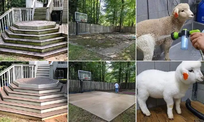 Мойка высокого давления - это вещь!