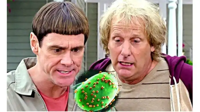 Случайно обнаруженный вирус, который делает людей глупее. Что он из себя представляет?