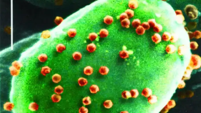 Случайно обнаруженный вирус, который делает людей глупее. Что он из себя представляет?