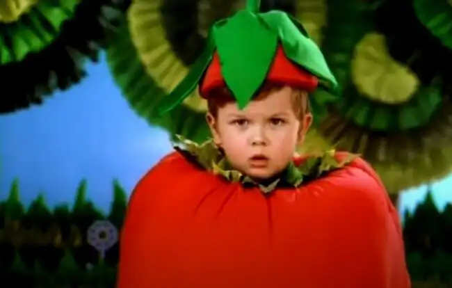 Дурак – это заготовка раба