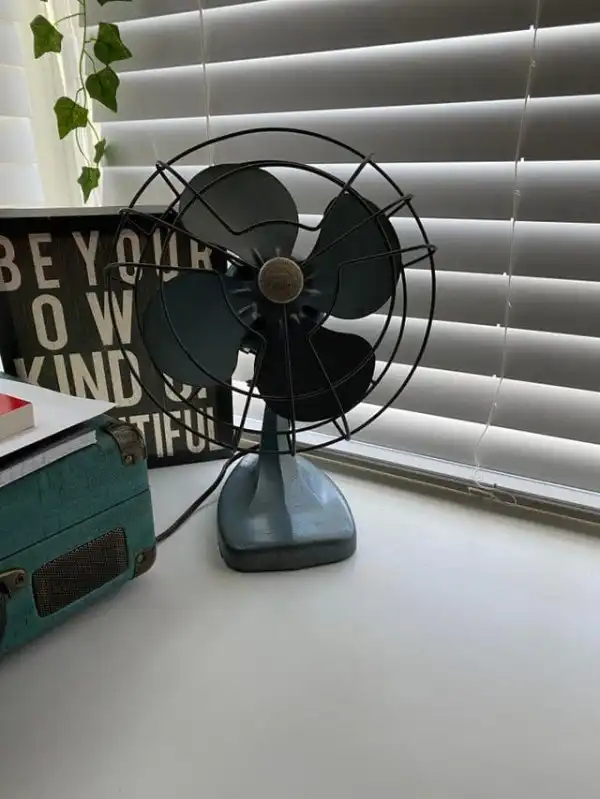 Пользователи Сети похвастались интересными находками из прошлого