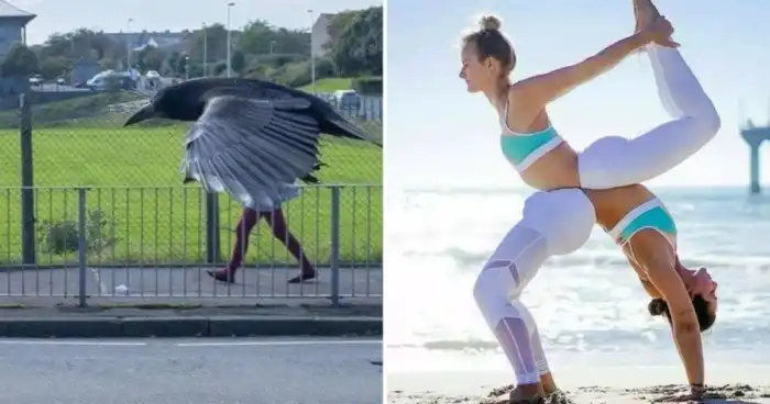 15 запутанных фотографий, к которым нужно внимательно приглядеться