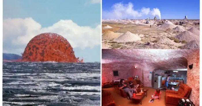 15 увлекательных снимков всяких редкостей