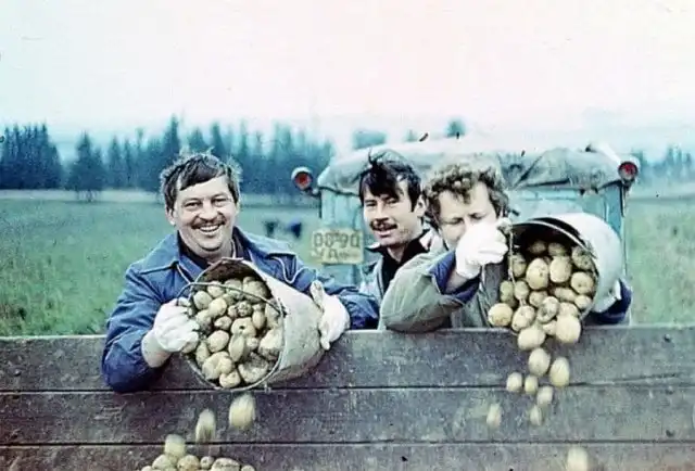 Винегрет архивных кадров прошлого