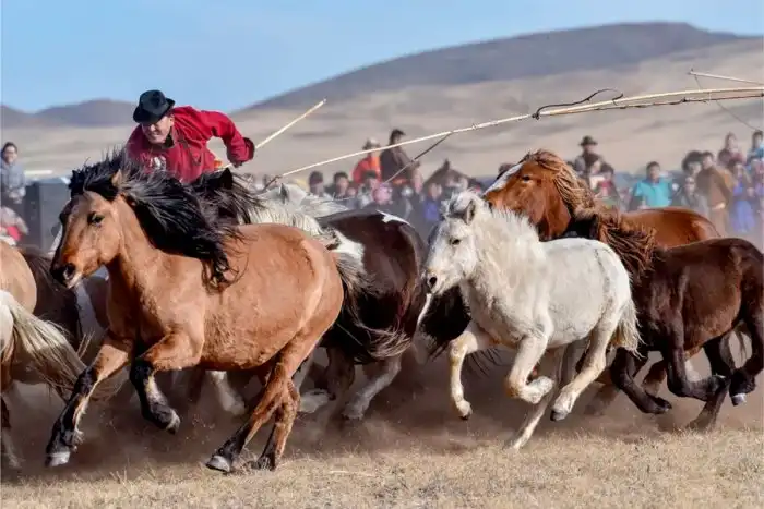 Чем питалось монгольской войско в походе?