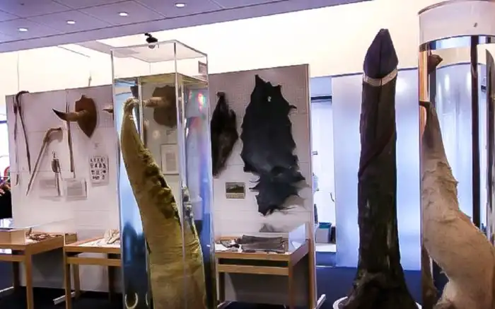 15 удивительных секс-рекордов планеты