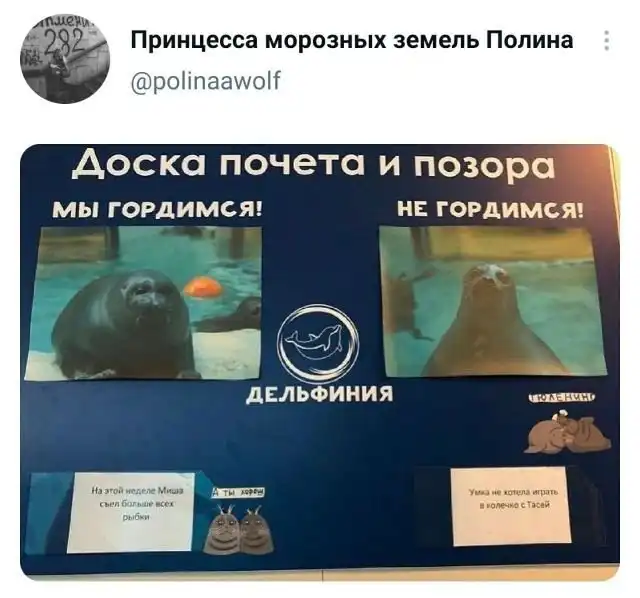 Подборка забавных твитов обо всем