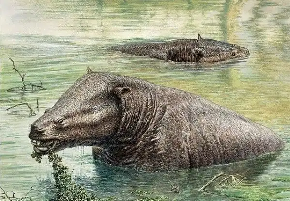 Меритерий: Тот странный свин с хоботом из Ледникового Периода. Нелепый предок слонов и ламантинов